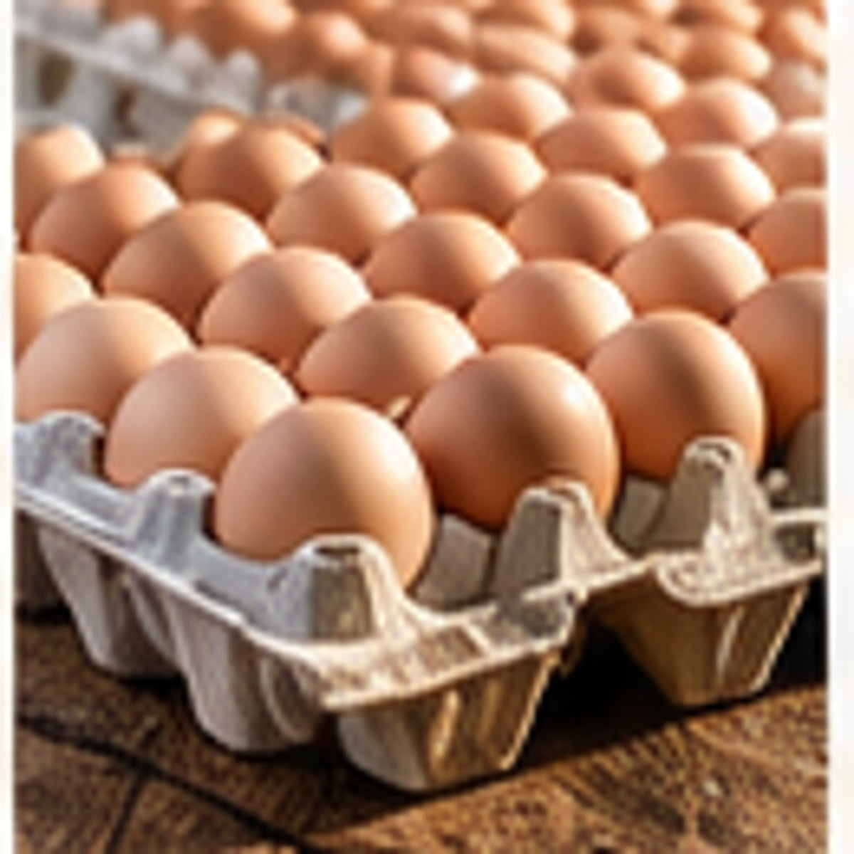 Eggs Dozen
