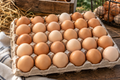Farm Fresh Egg Flat